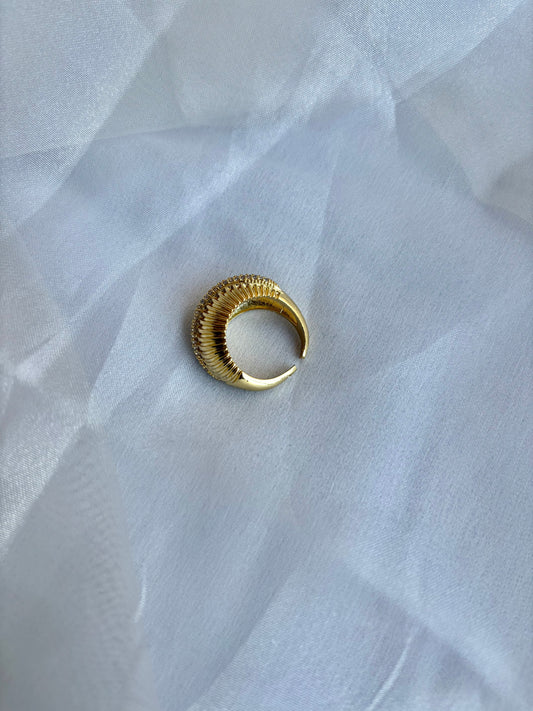 Maximalist Studded Ring